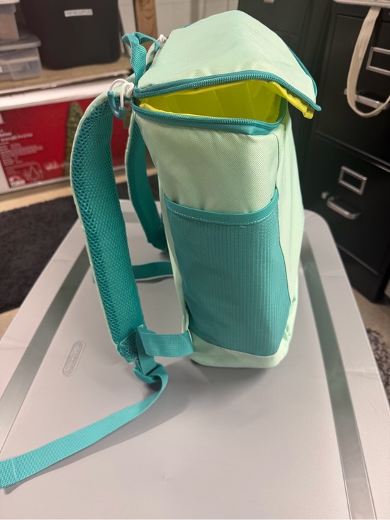 Handbags - NEW Mint Green and Teal Insulated Cooler Backpack from Target